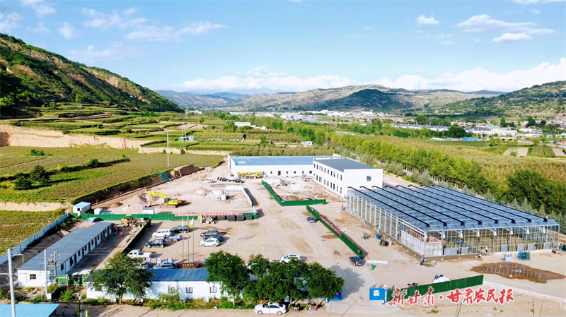 庄浪：小药苗激活产业发展“新动能”