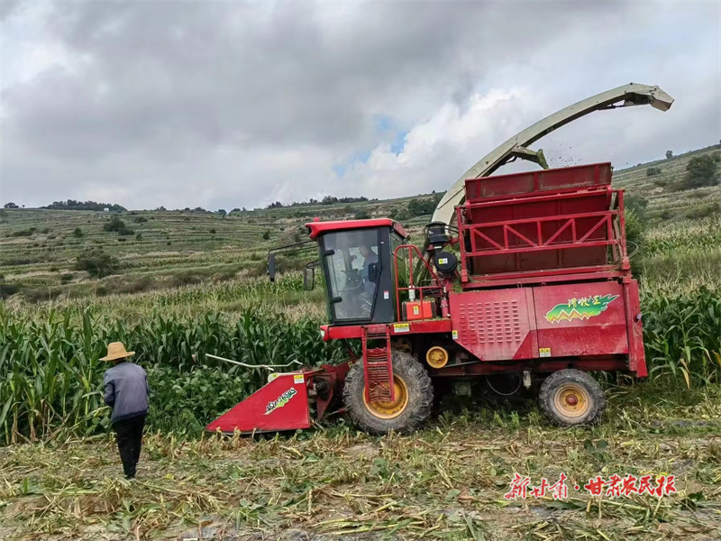 庄浪：农机抢夺“三秋”秋粮丰收在望