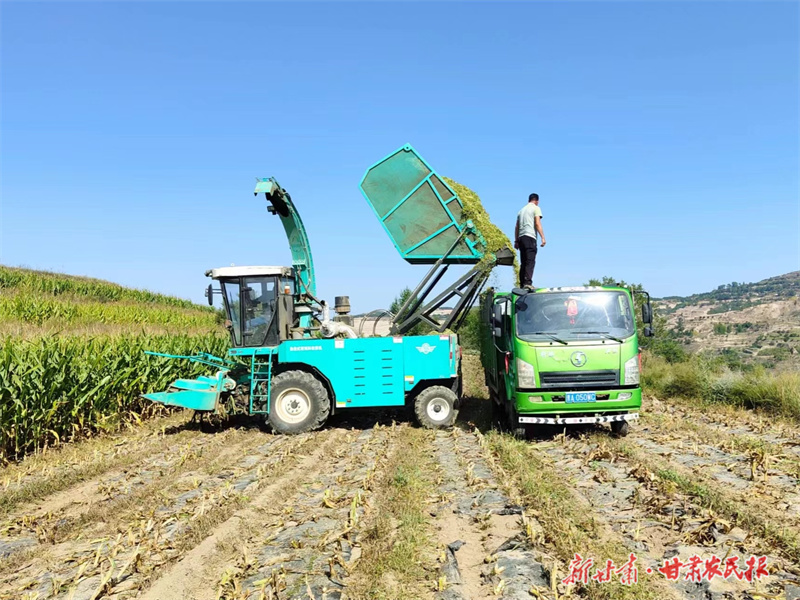 庄浪：“联农带农”奔富路