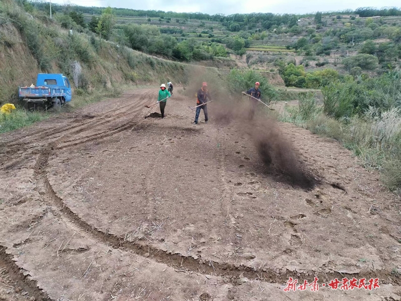 庄浪：按下秋播“快进键”