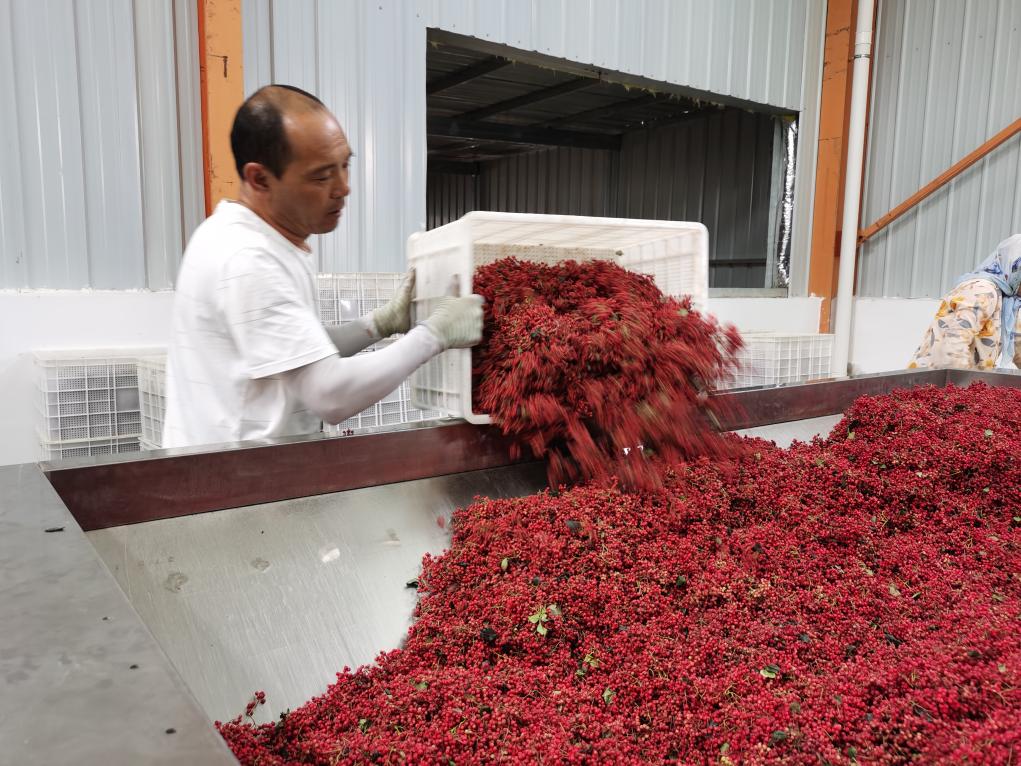 一位“剃头匠”眼中的乡村之变