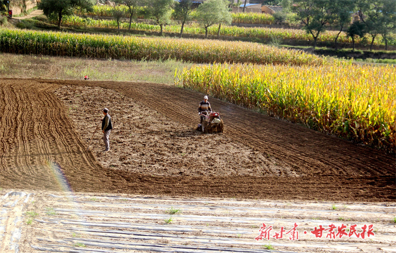 秋播正当时 孕育“新希望”