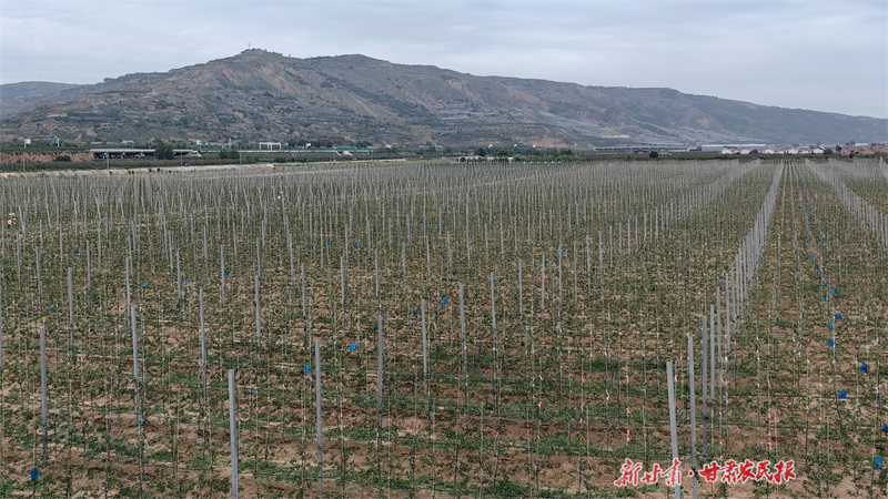 庄浪：“链”式储能 产业提档升级