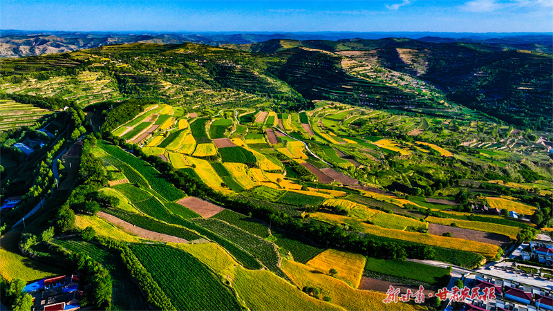 庄浪：“巴掌田”变“连片田”种出好“丰”景