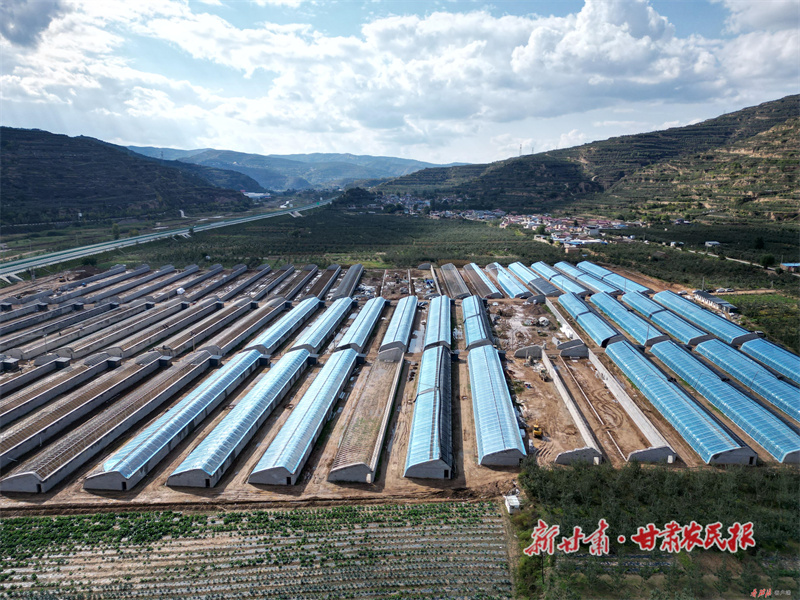 庄浪：蔬菜园里产业旺