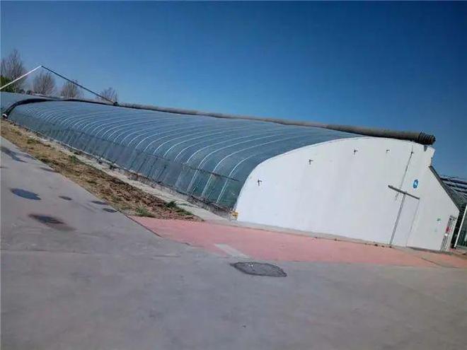 天冷棚室保温方法需灵活