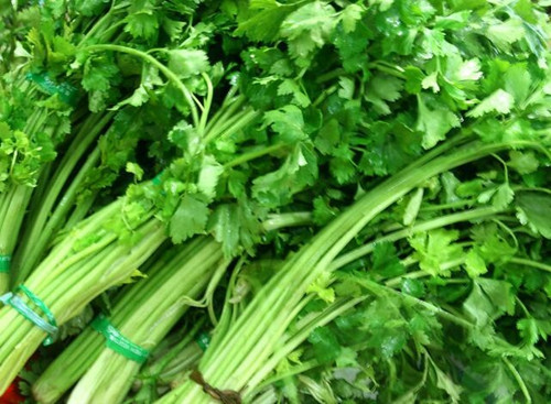 芹菜秋季施肥技术