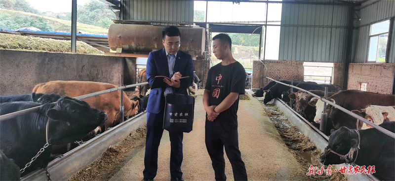 6年撬动13亿元，平凉这支“三农生力军”将如何注入活水“贷”动振兴？