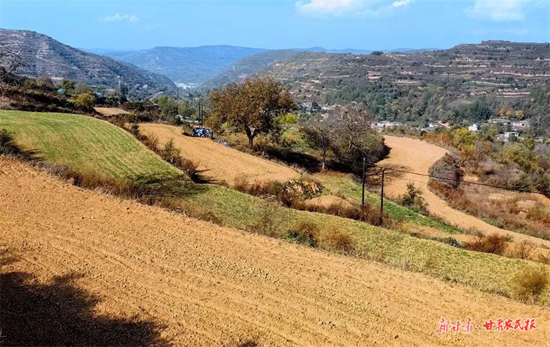 麦积区麦积镇：撂荒地里奏响复耕“交响曲”