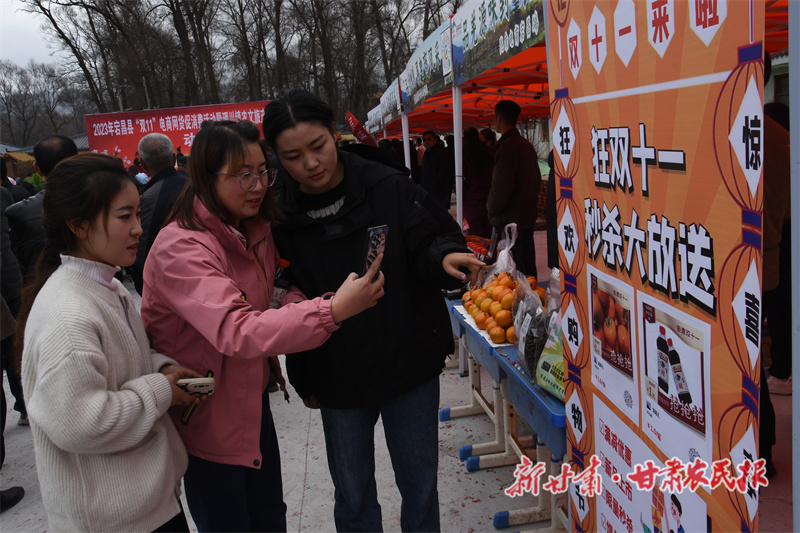 宕昌县“双十一”