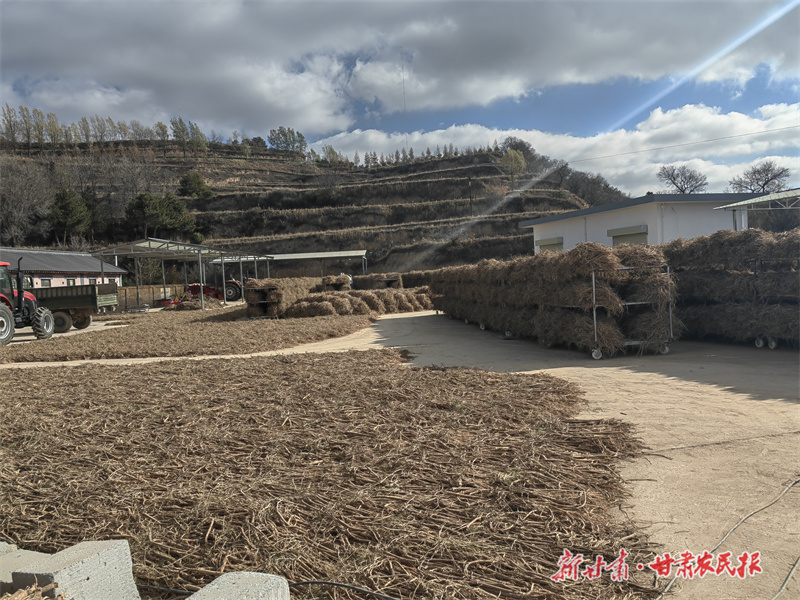 庄浪：产业强 村民富 乡村美