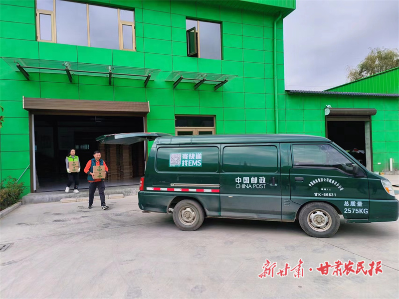 山货进城 “邮”向世界——陇南市邮政分公司电商发展助农惠农工作纪实