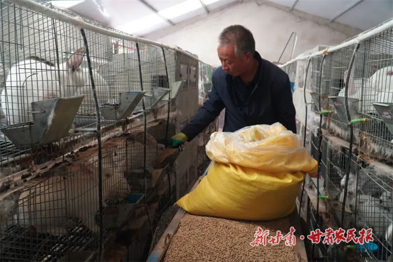 卓尼 肉兔养殖“蹦”出致富路