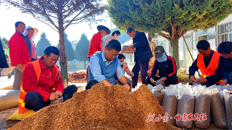 华池 废弃玉米芯变身记