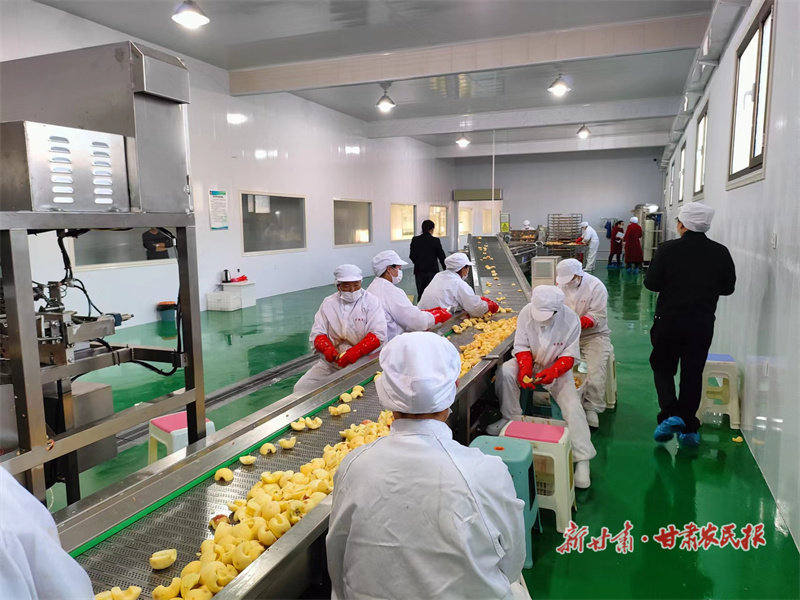 王建强：“归雁”创业报桑梓 撑起农民“致富伞”