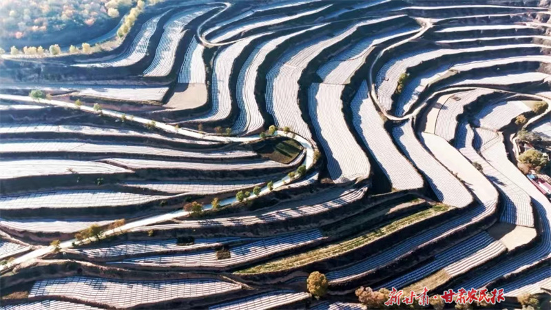 ​大地披“银装”！静宁县完成秋覆膜80万亩