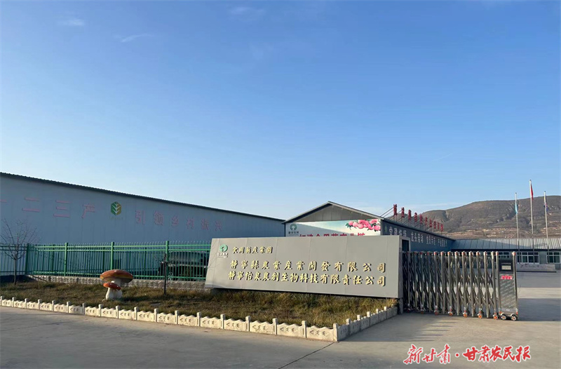 静宁：小菌菇释放乡村振兴大“蘑”力