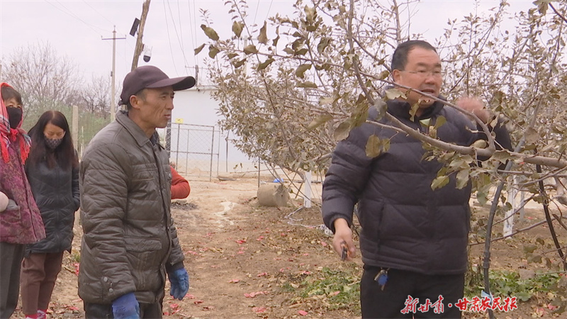 崆峒区：果园管理正当时 技术培训暖寒冬