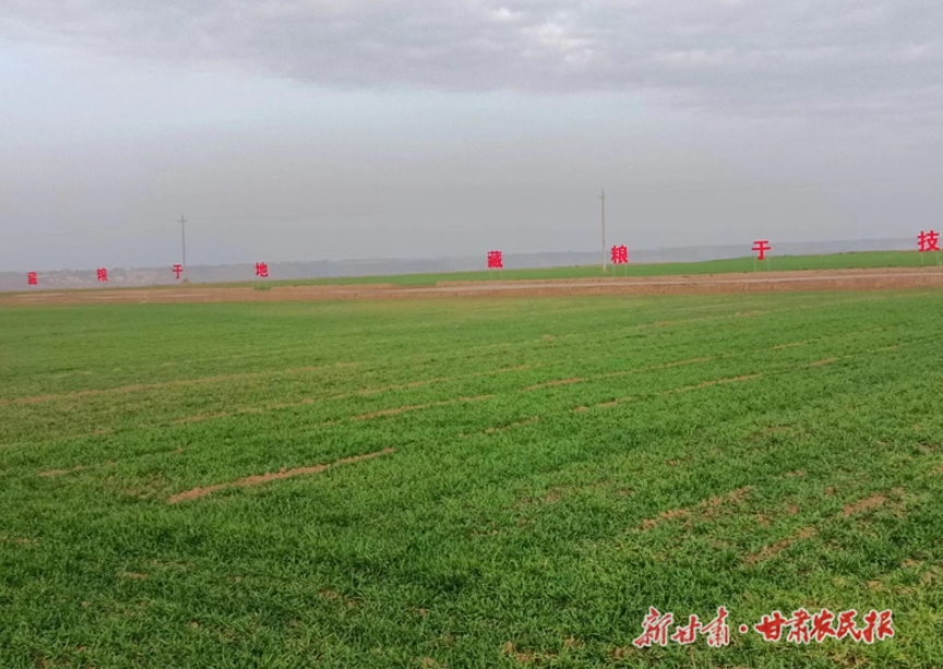 崆峒区：种好“责任田” 守护“粮袋子”