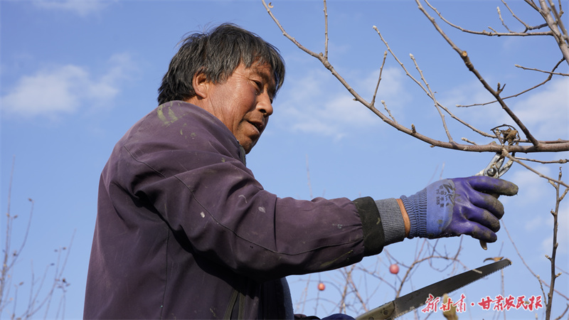 静宁：“智慧数字果园”跑出振兴“加速度”