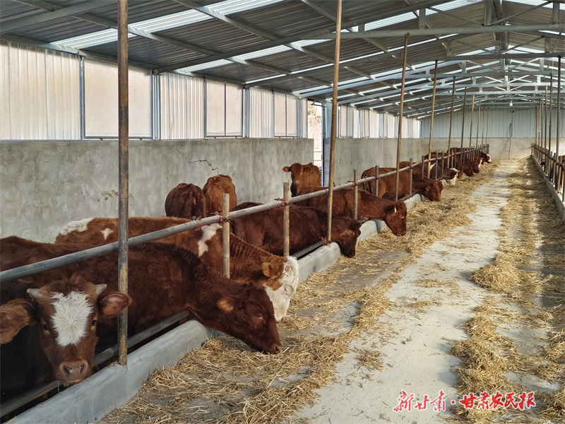 庄浪:养殖小区迎来“新住户”