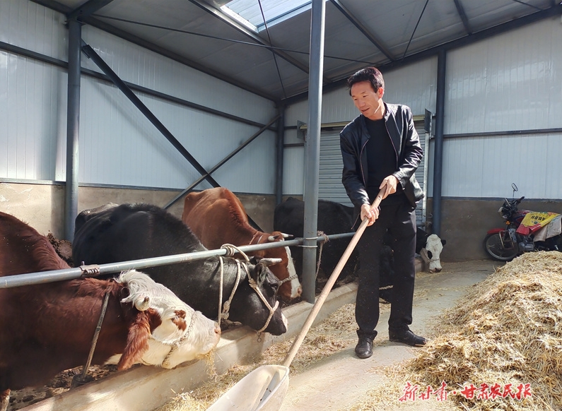 崆峒区颉岭村：牵着“牛鼻子” 过上“牛日子”