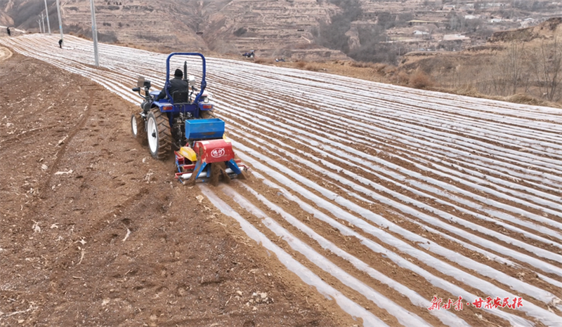 甘谷：机械覆膜赶进度 山旱耕地披“银装”
