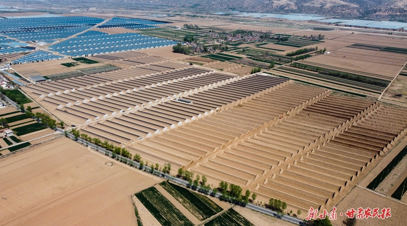 崆峒区：高标准打造泾河川万亩现代农业产业园