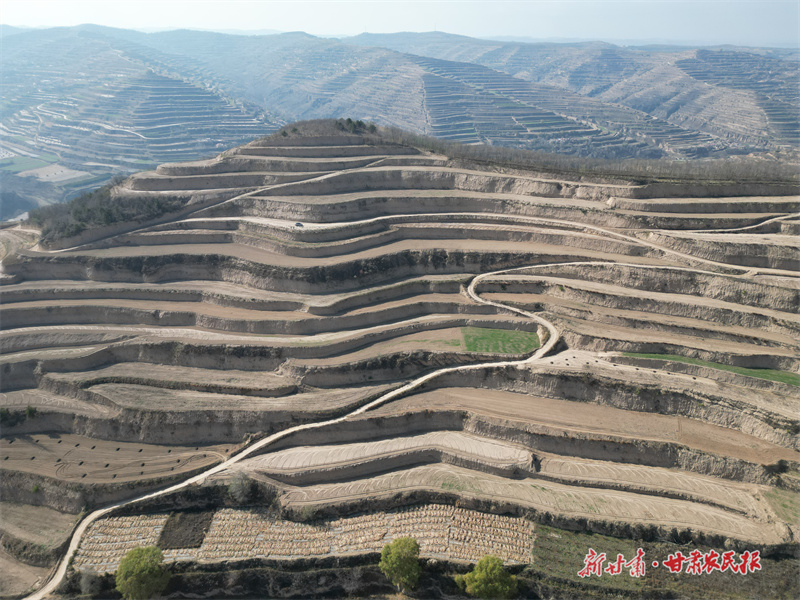 庄浪：“高标准农田+”跑出乡村振兴“加速度”庄浪：“高标准农田+”跑出乡村振兴“加速度”