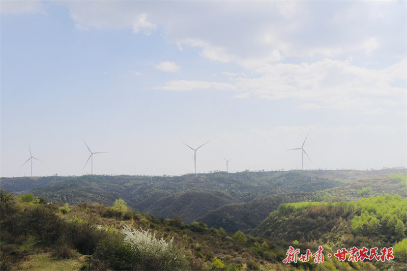 崆峒区：​白家山里“话”和美