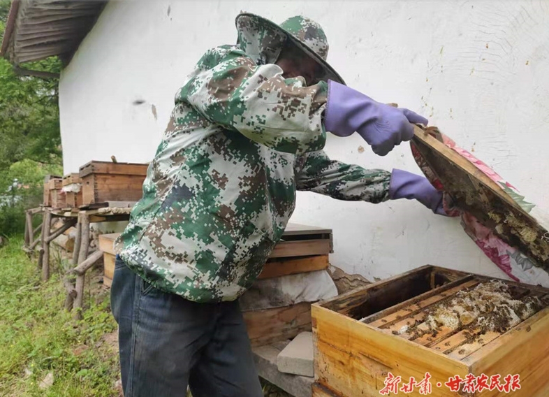 崆峒区：自制蜂窝酿出甜“日子”