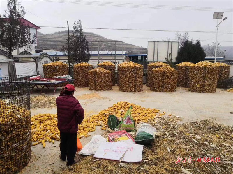 静宁：农业保险助力乡村产业振兴