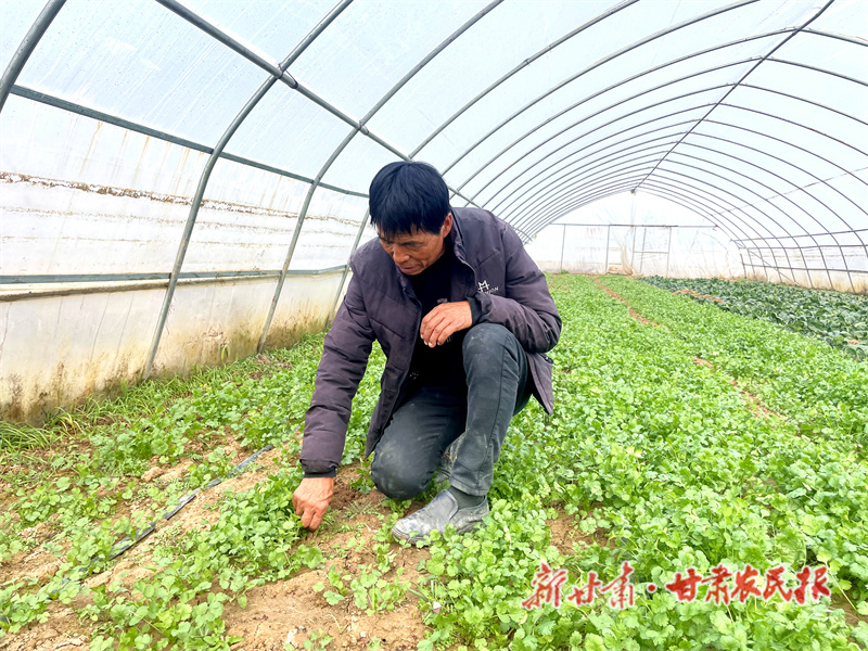 宁县：特色产业奏响“致富曲”