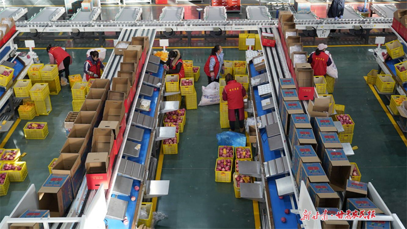 静宁：数字赋能，苹果产业链“科技味”十足