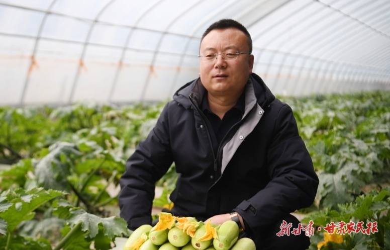 渭源：引雁“衔泥回巢”助力乡村振兴