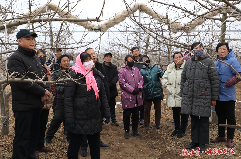 崆峒区：紧盯果园春管 赋能乡村振兴