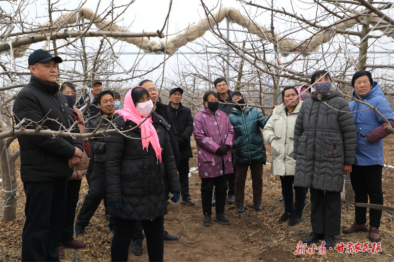 崆峒区：紧盯果园春管 赋能乡村振兴