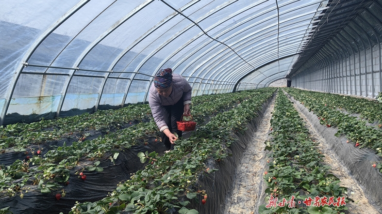 庄浪：示范园里春意浓 产业发展助增收

