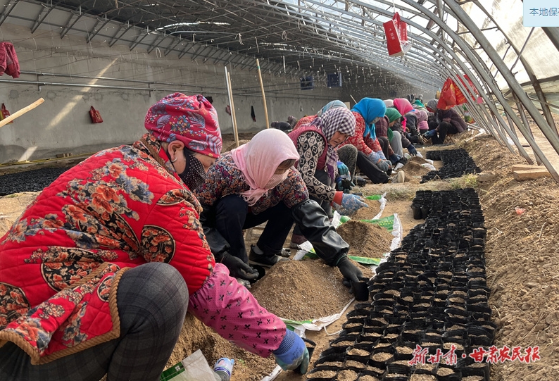 庄浪：育好种苗山川美