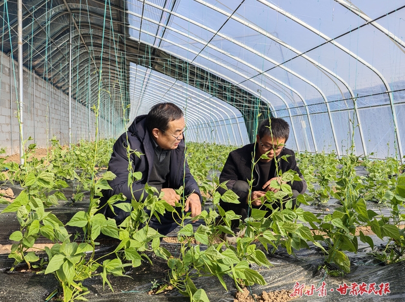 庄浪：产业园里“育”新机