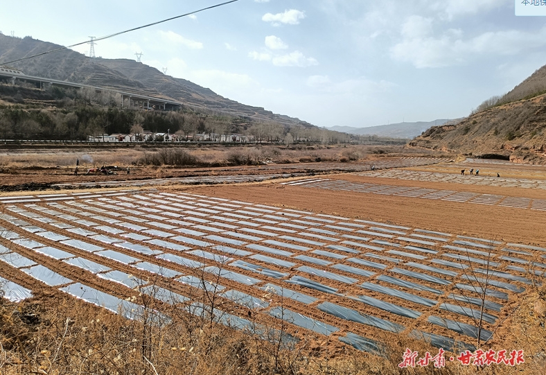 庄浪：春季覆膜正当时