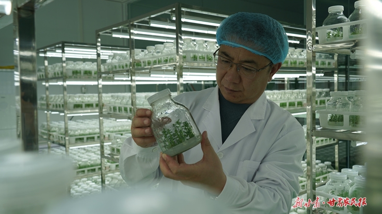 李健，在家乡沃土逐“梦”腾飞