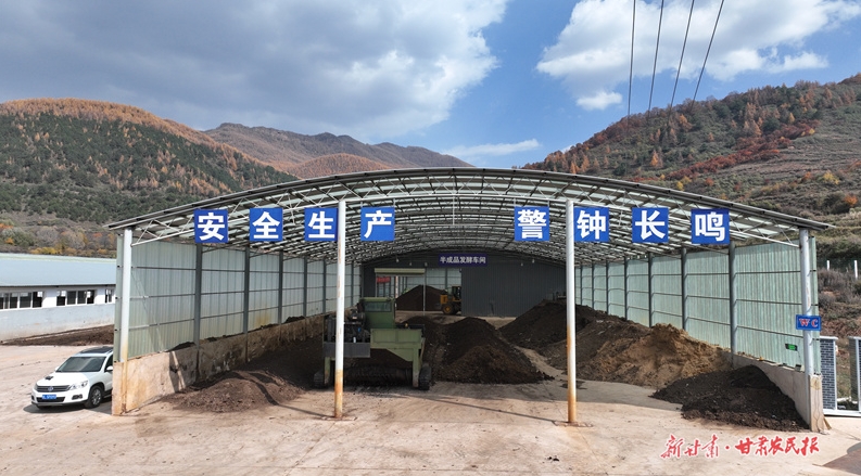 庄浪：10万亩土地吃上有机“营养餐”