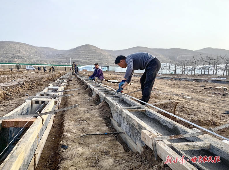 庄浪县：设施蔬菜产业“棚”勃发展