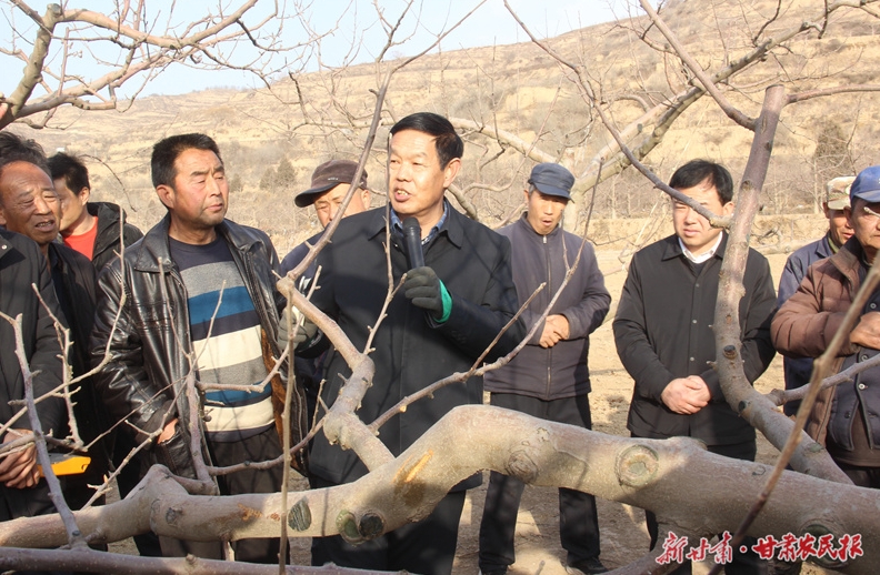 静宁：打好“管理牌” 培优“致富果”