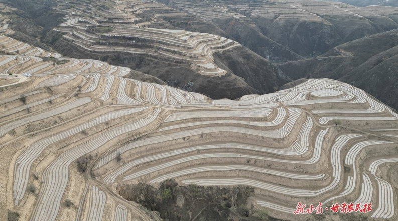 覆膜70万亩！庄浪春耕跑出“加速度”