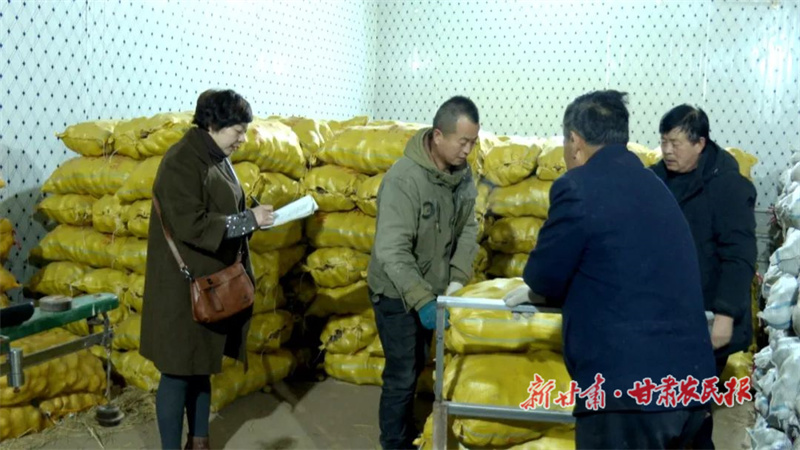 张晓君：深耕乡土的“新农人”
