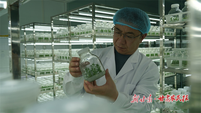 李健:在家乡沃土逐“梦”腾飞
