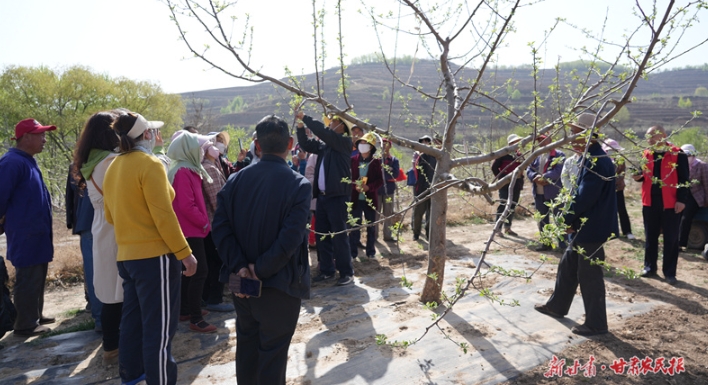 果树专家齐聚静宁 支招果产业发展