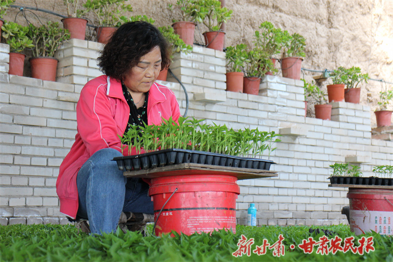 “辣嫂”方玉花